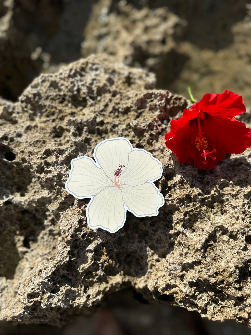 Hibiscus Flower Sticker