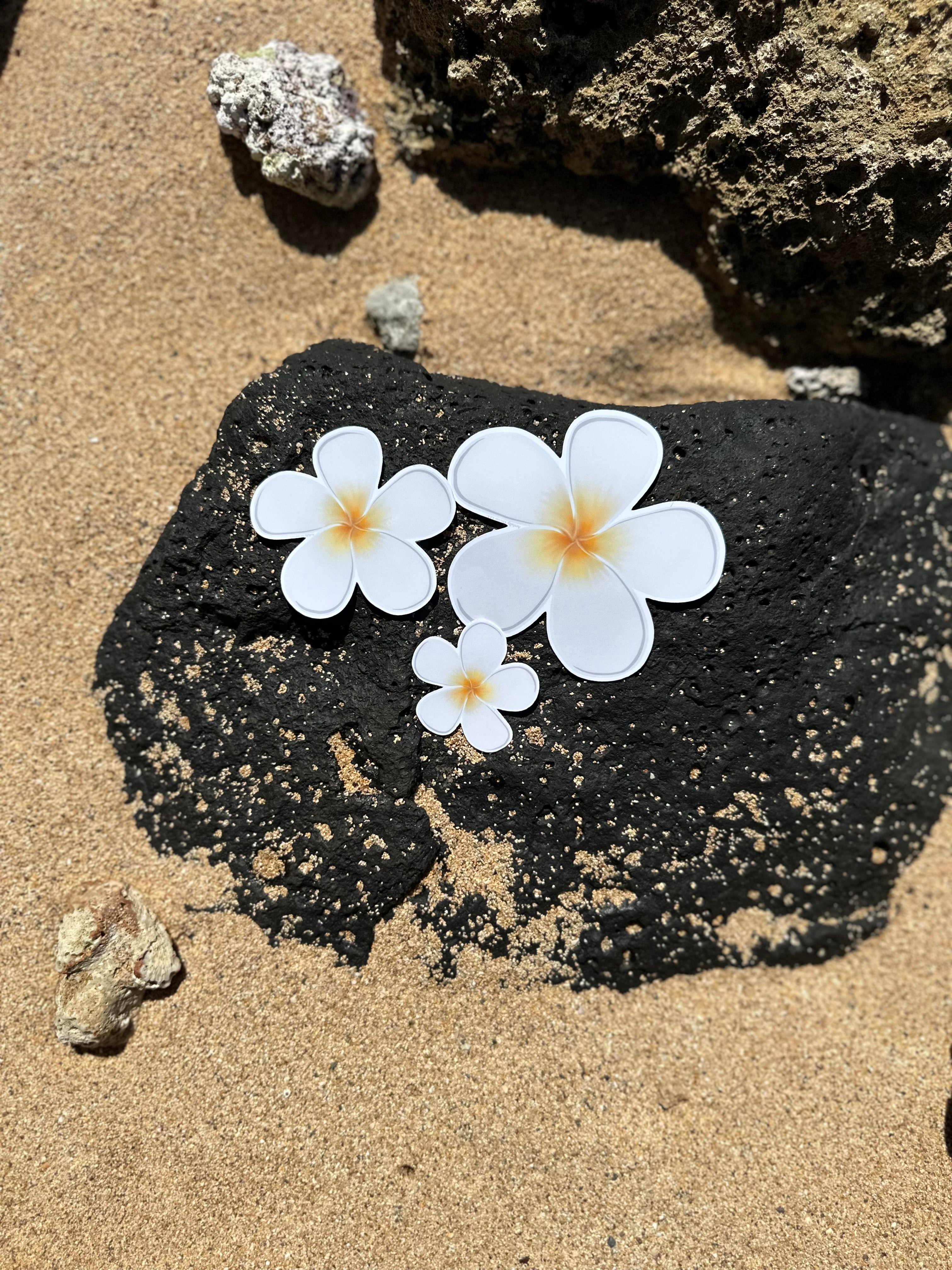 Plumeria Flower Sticker