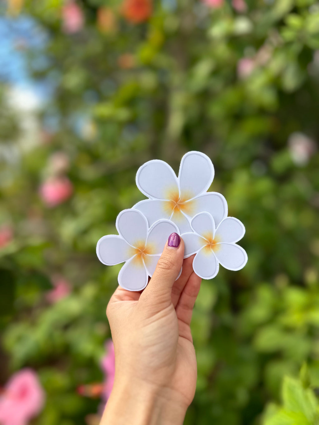 Plumeria Flower Sticker