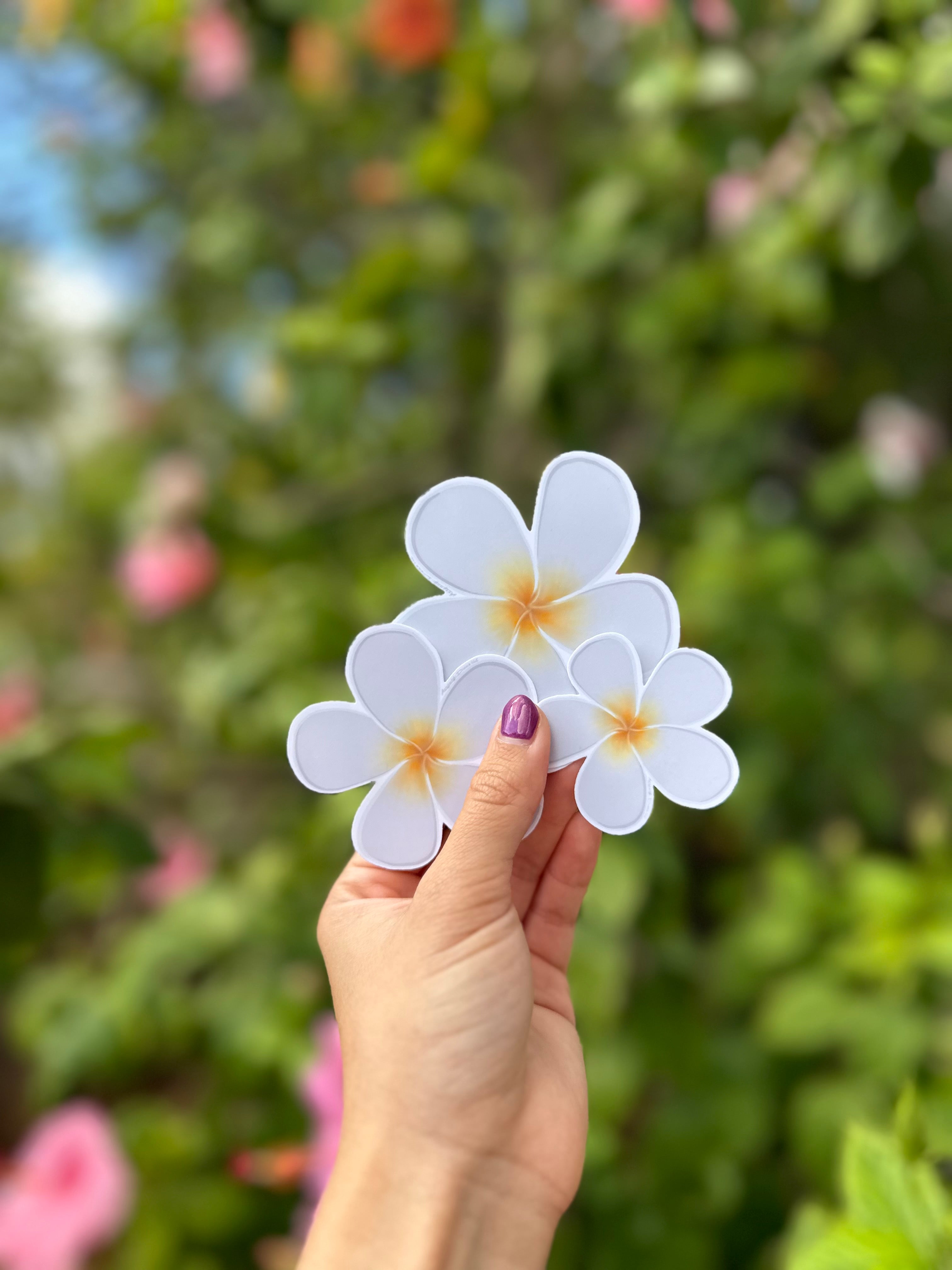Plumeria Flower Sticker