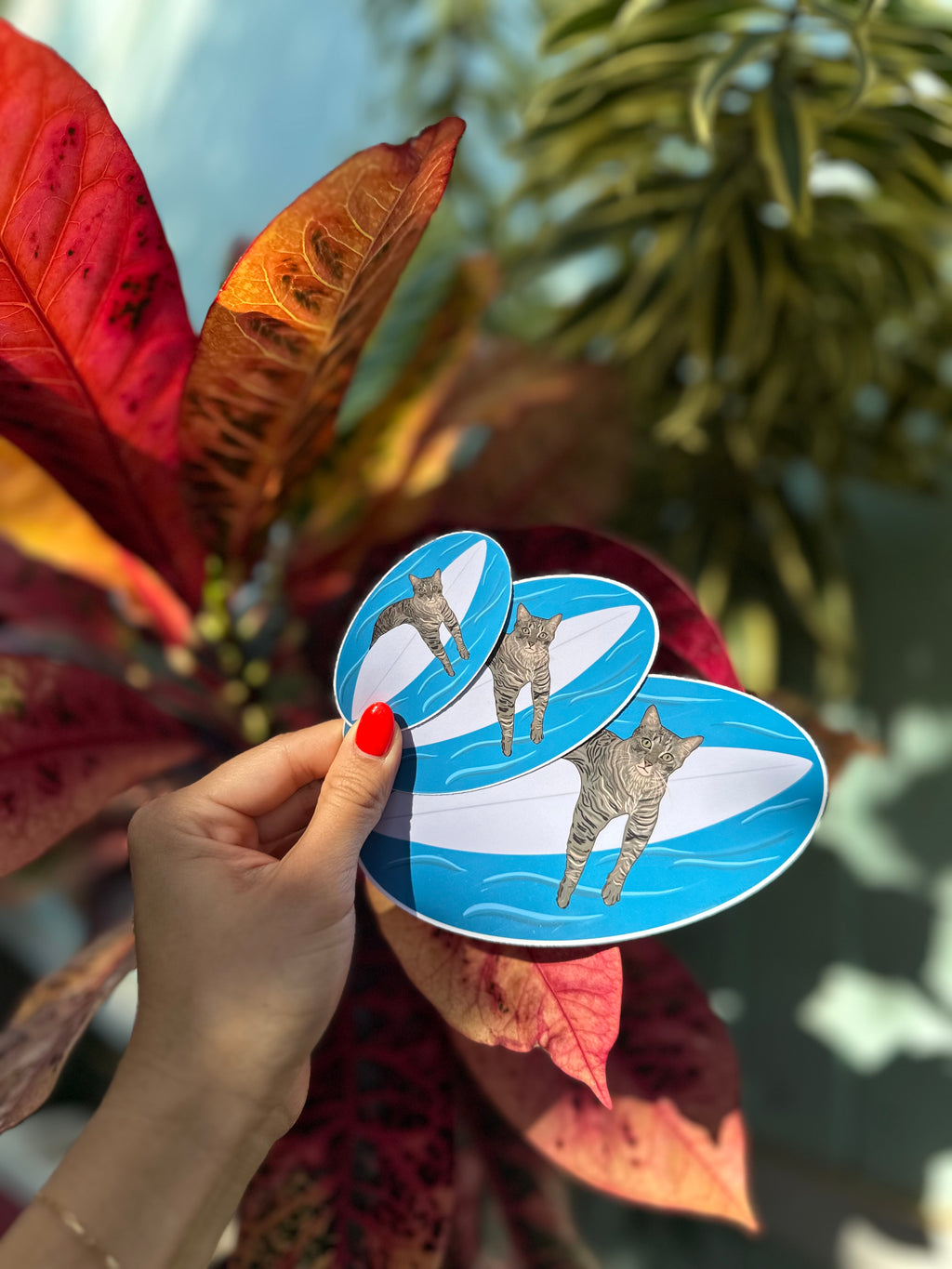 Surfing Cat Sticker