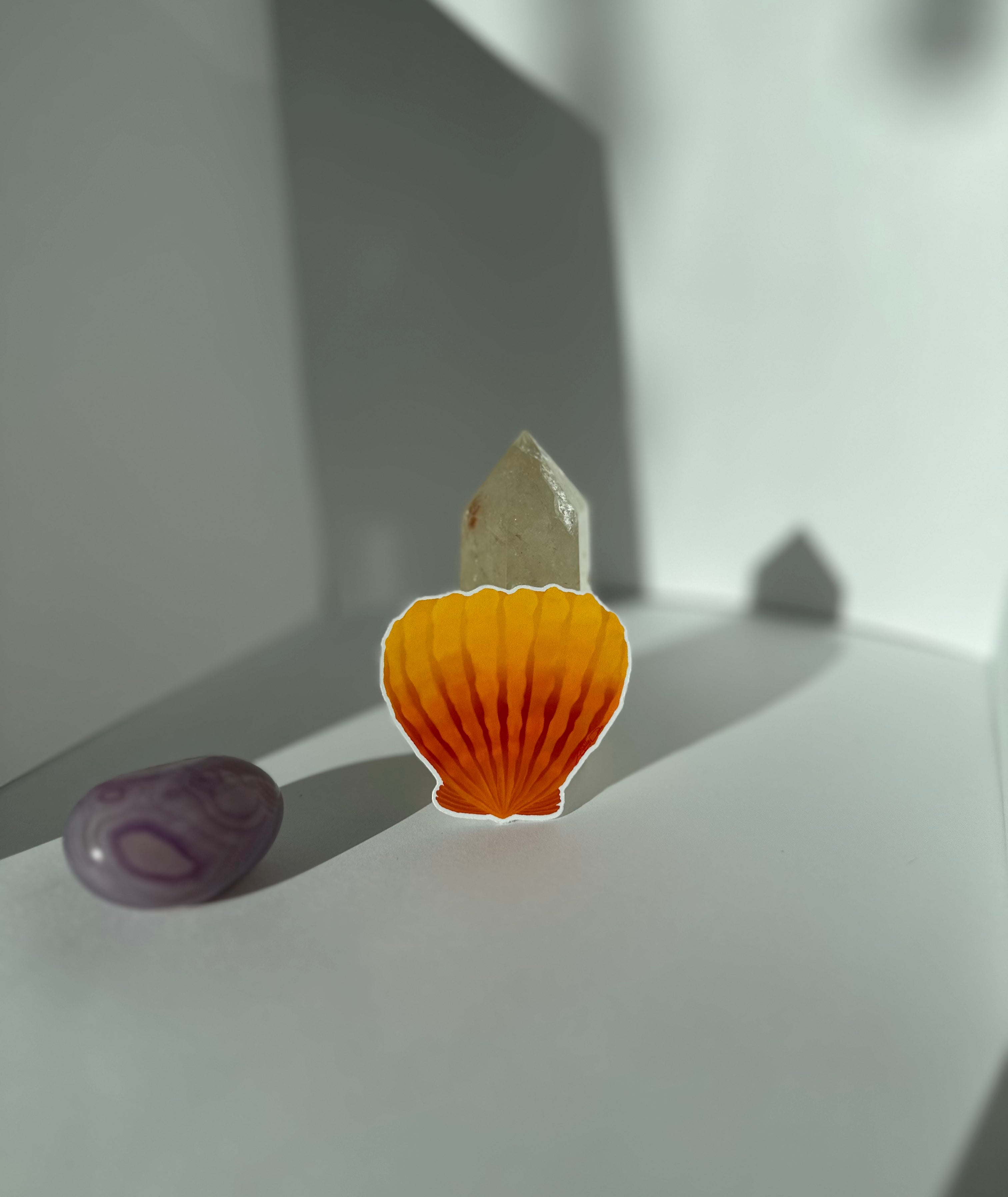 Sunrise Shell Sticker