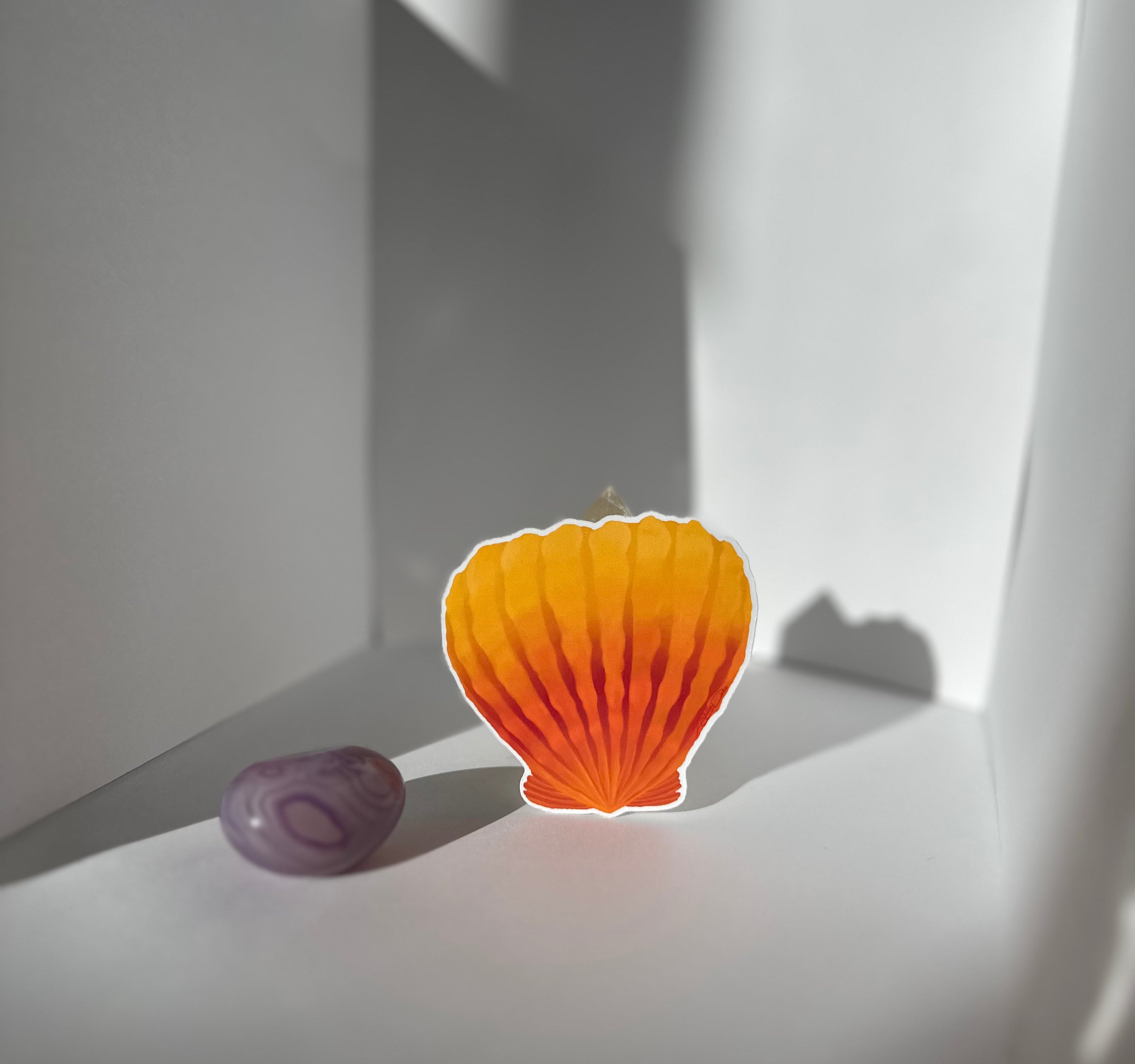 Sunrise Shell Sticker