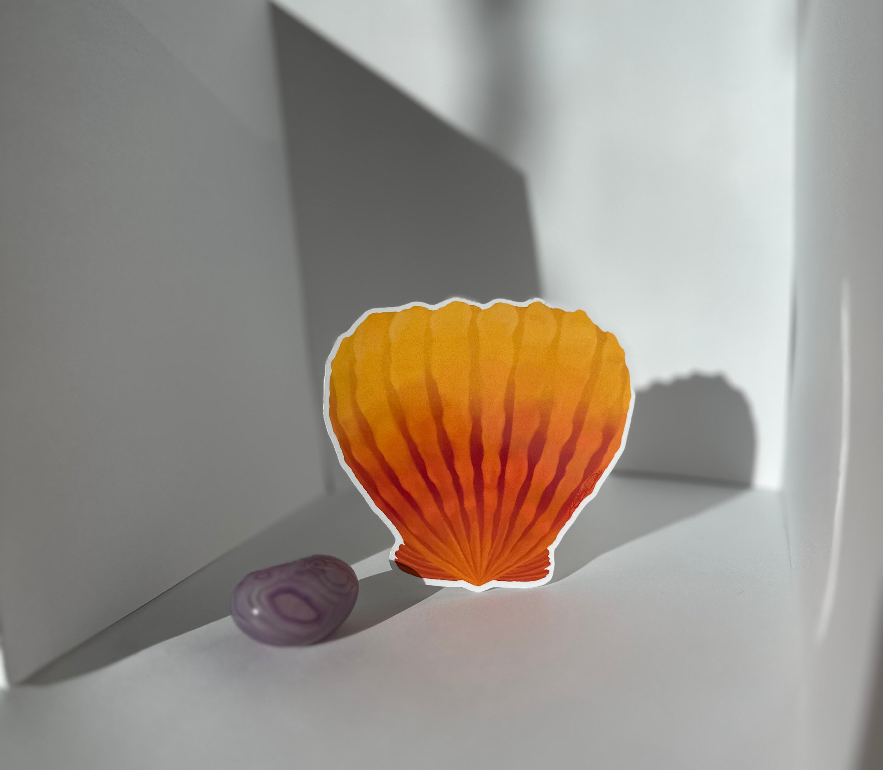 Sunrise Shell Sticker