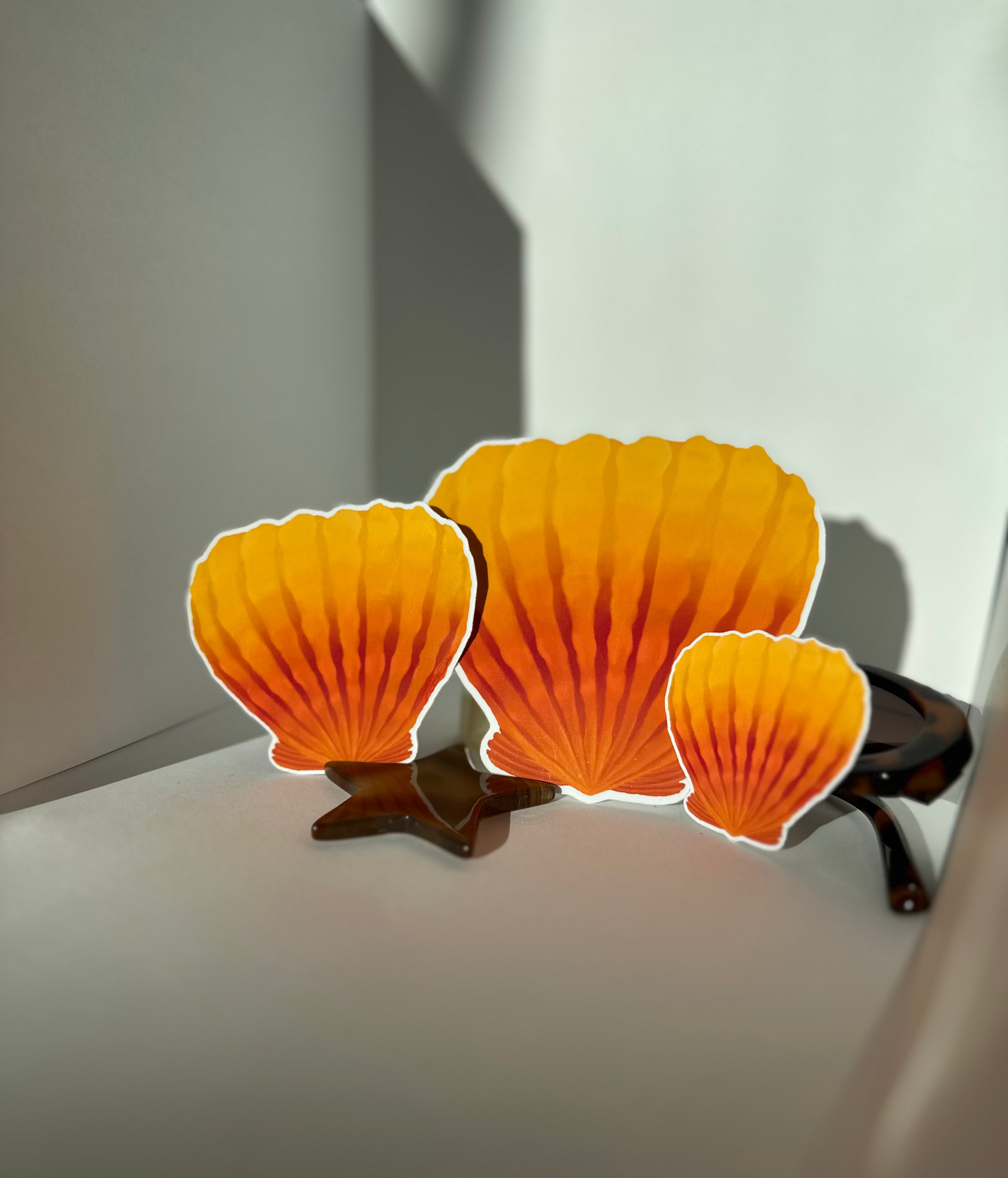 Sunrise Shell Sticker