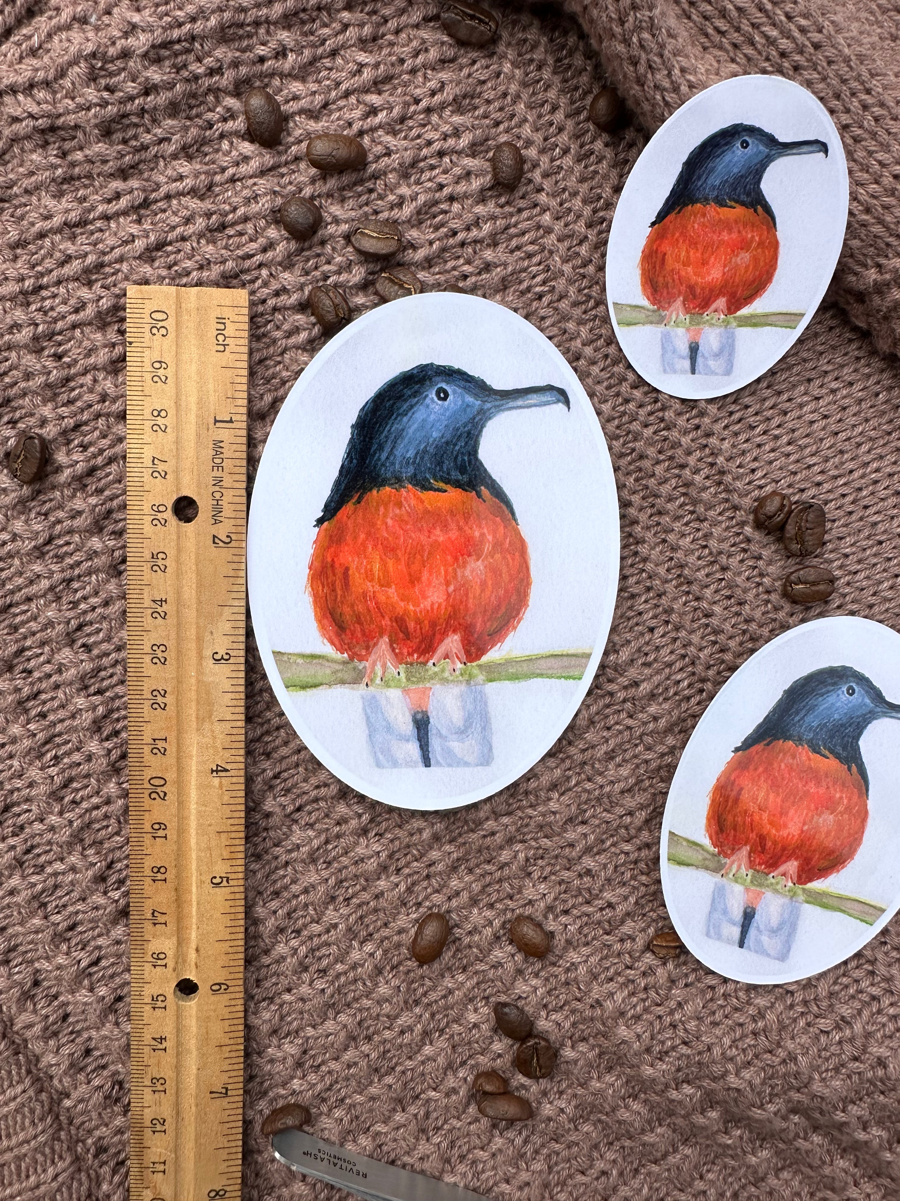 White-Booty Shama Sticker