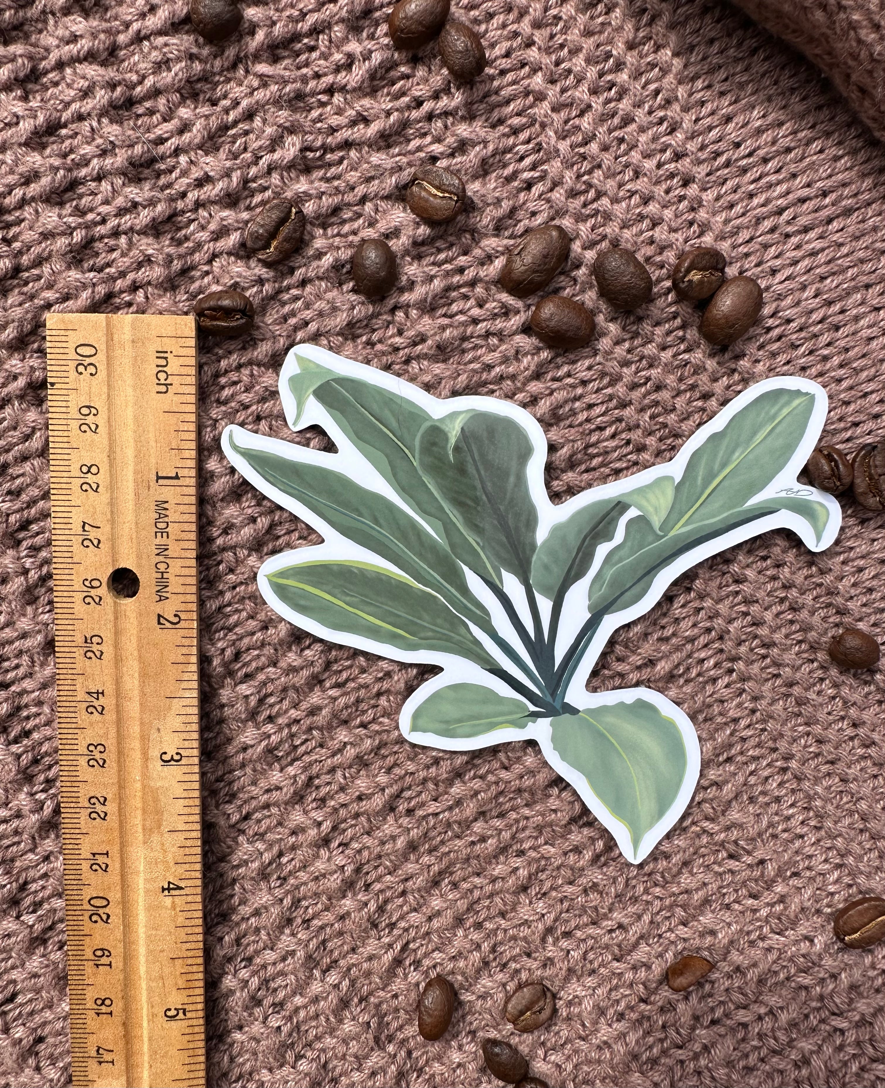 Ti Leaf Sticker