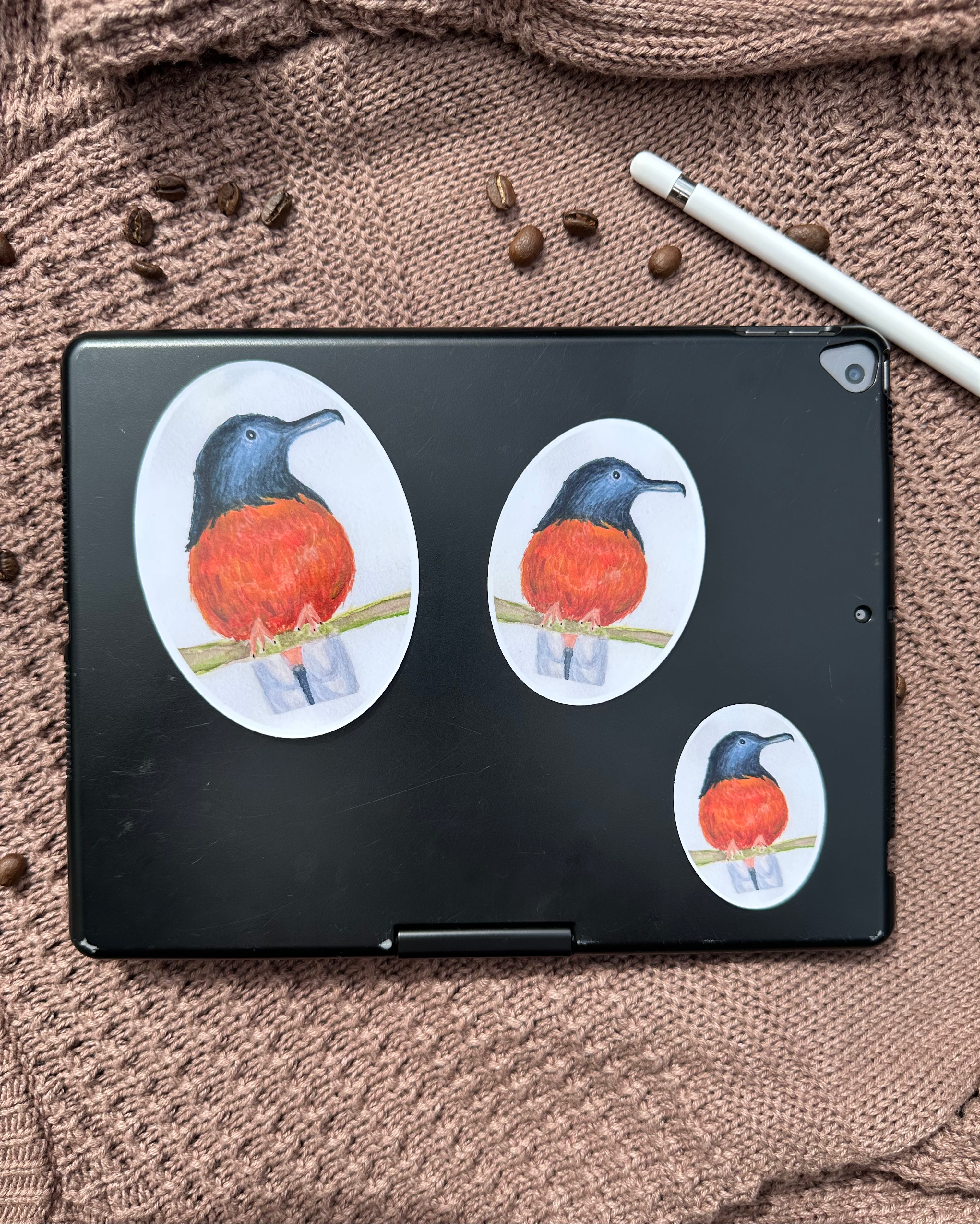 White-Booty Shama Sticker