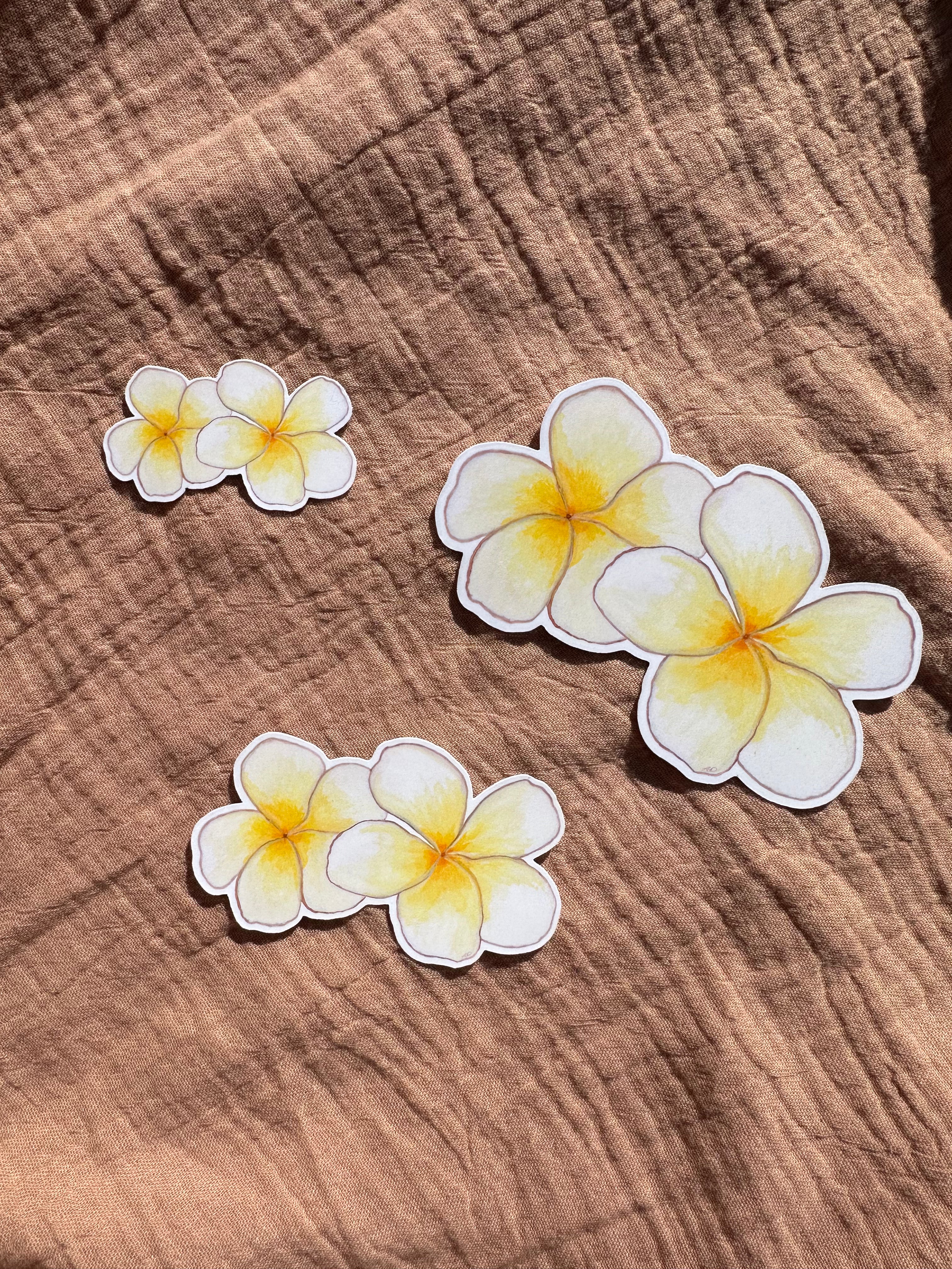 Double Plumeria Sticker