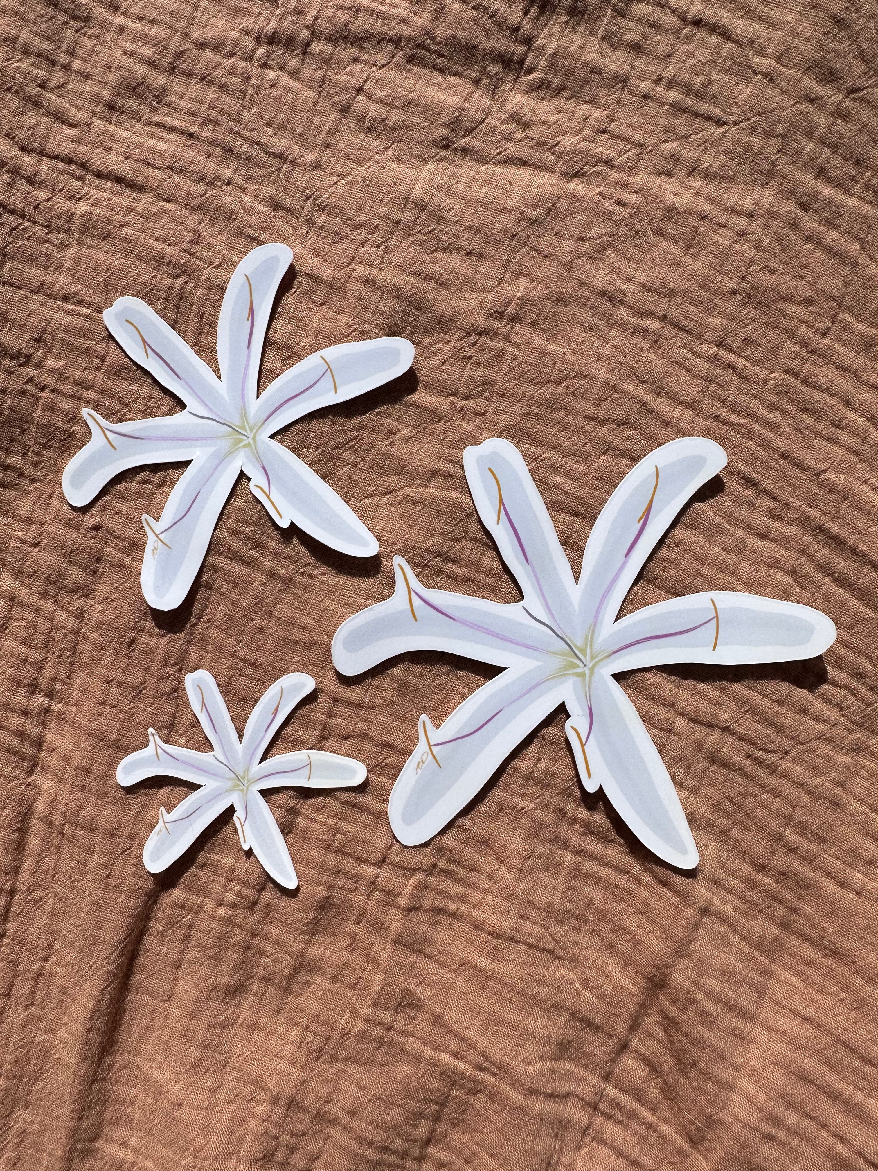 Spider Lilly Flower Sticker