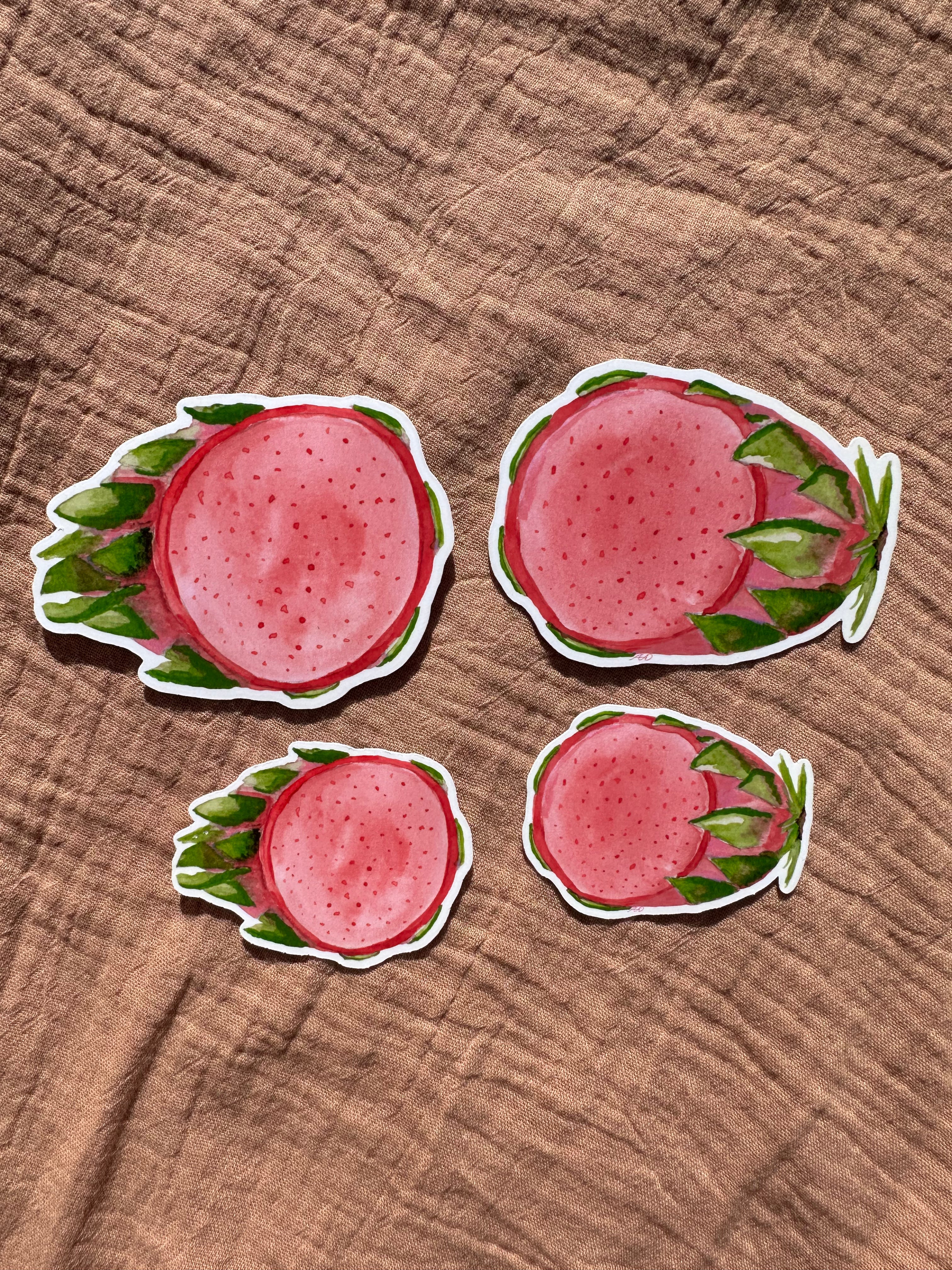 Dragon Fruit Sticker Set