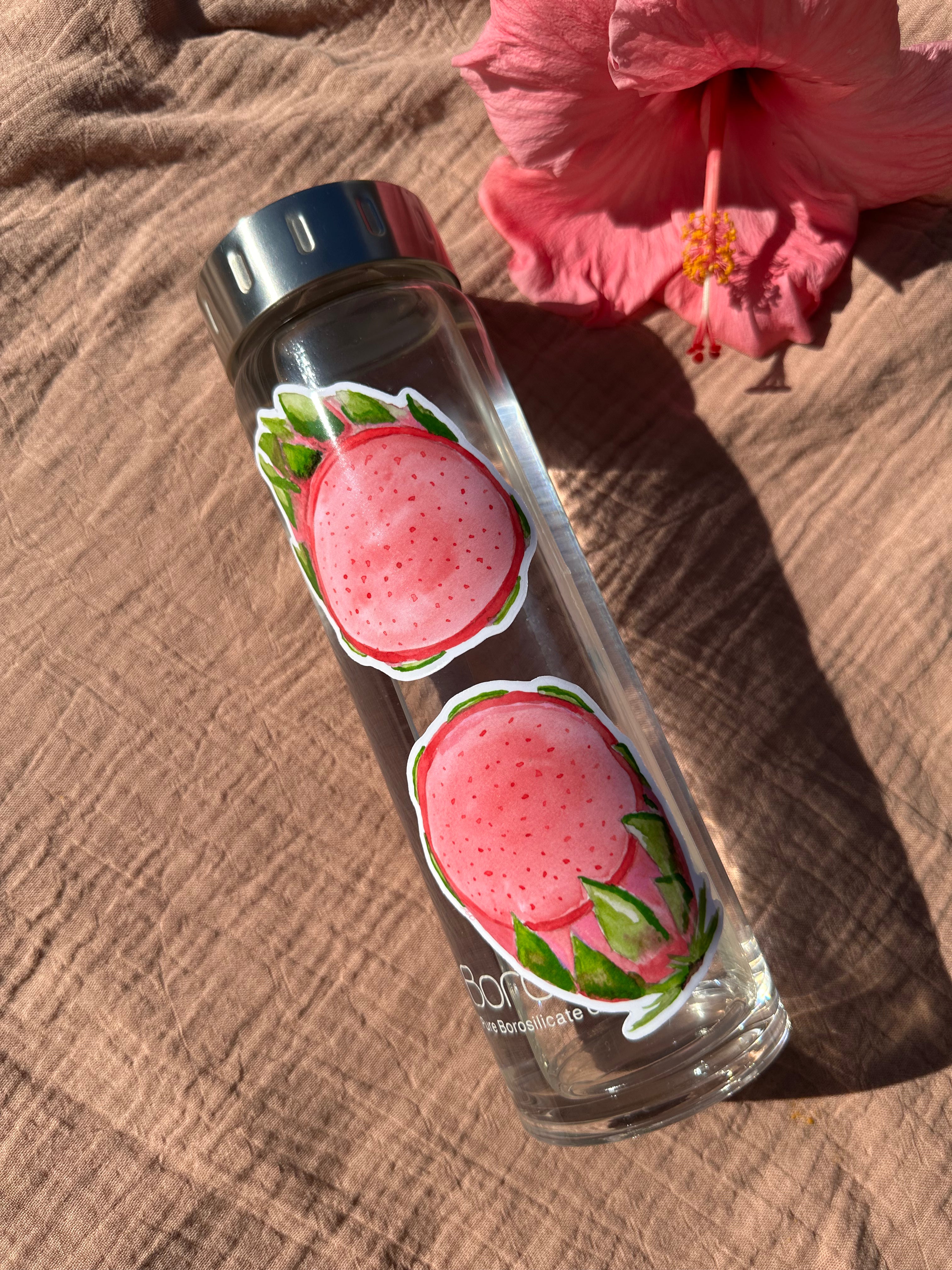 Dragon Fruit Sticker Set