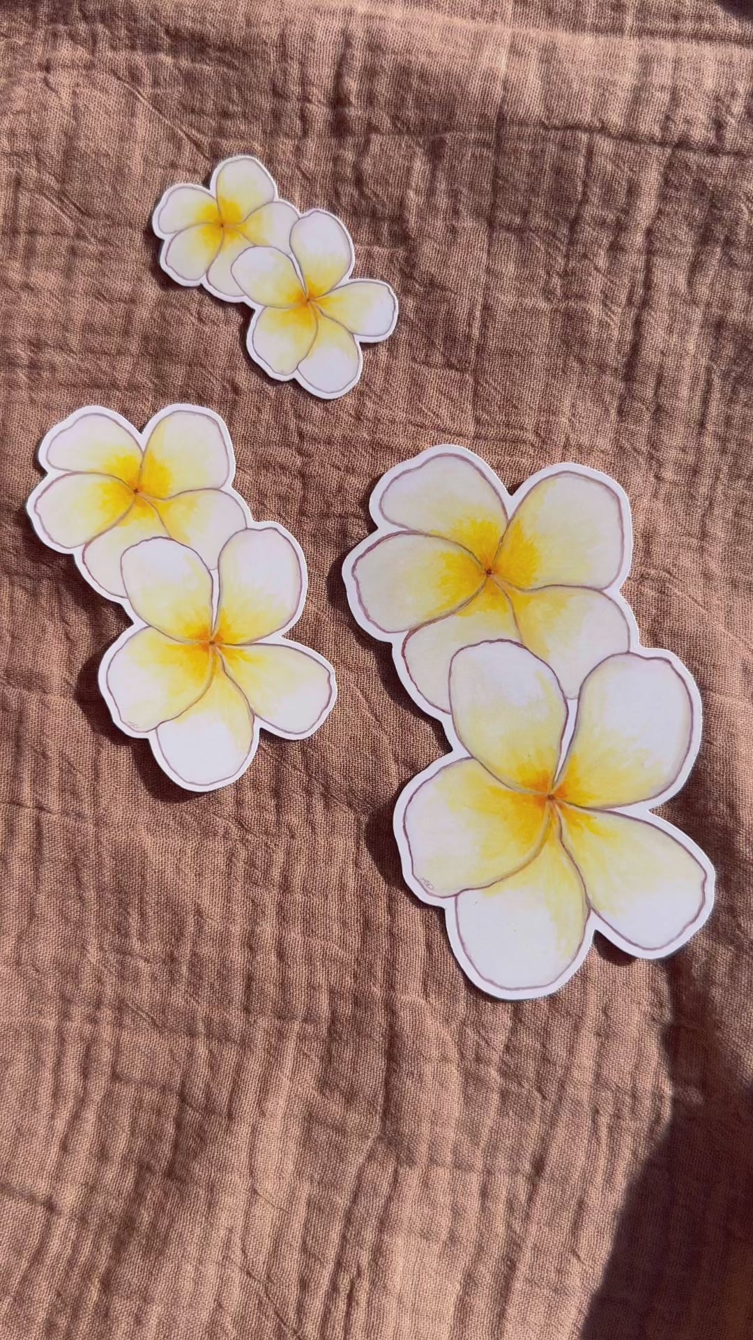 Double Plumeria Sticker