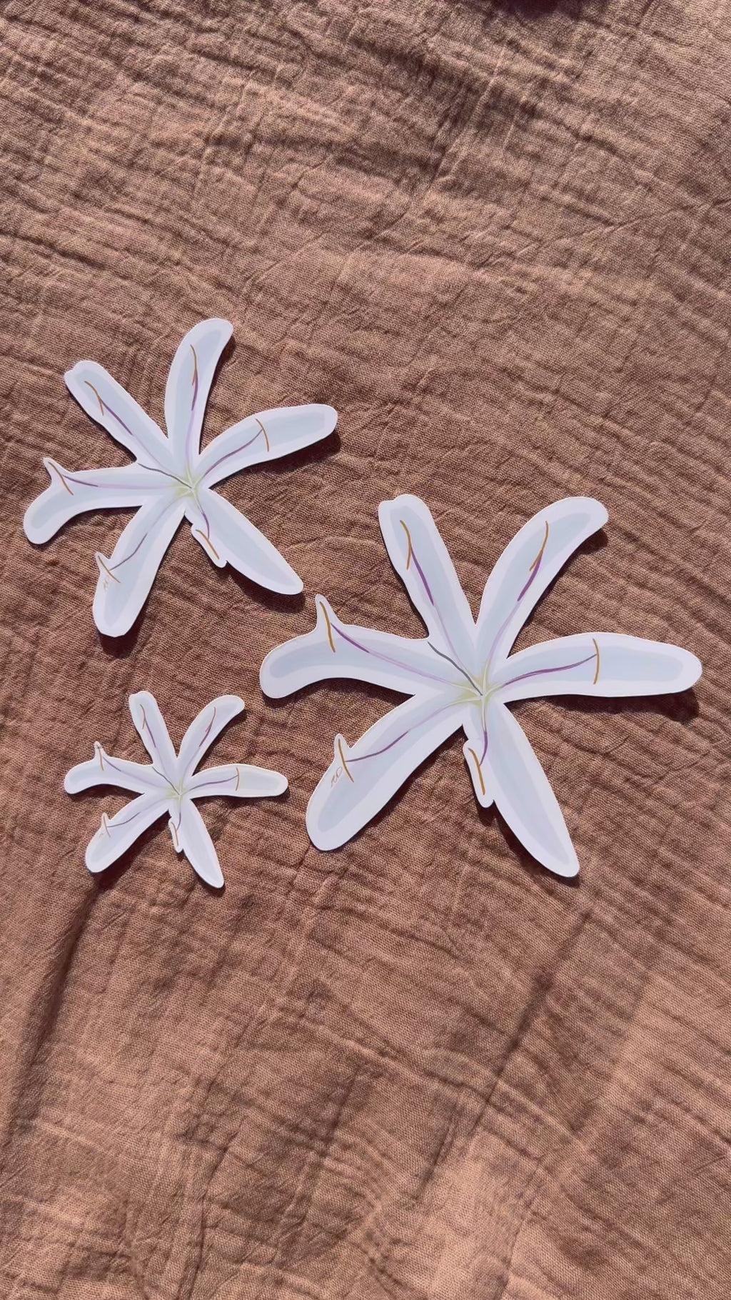 Spider Lilly Flower Sticker