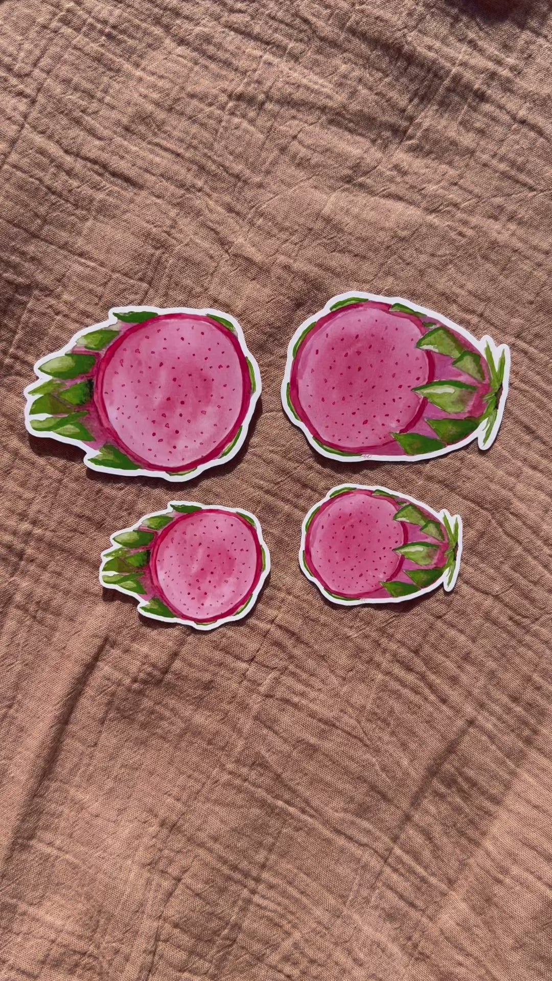 Dragon Fruit Sticker Set